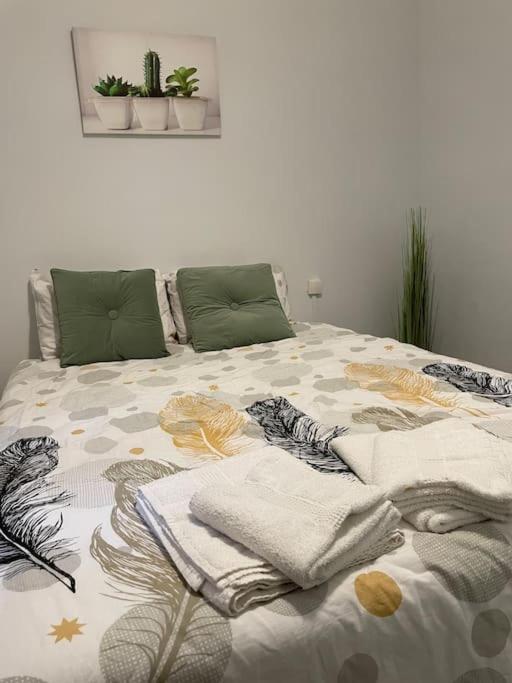 Cosy T3 Proche Gare Et Polygone Apartment Beziers Exterior photo